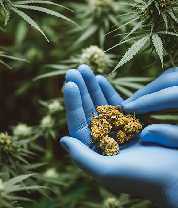 High-Risk Business Calls for Unparalleled Coverage